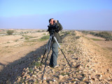 Looking for Macqueens Bustard