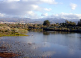 Oasis de Maspalomas