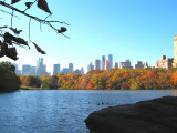 Central Park