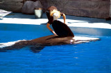 tn_DSC_3800.jpg