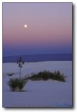 White Sands : Moonrise Yucca