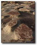 Bisti Wilderness : Tables