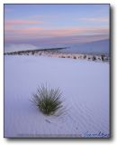 White Sands : Watching the Sunrise