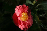 IMG_3170 qge.jpg