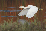 IMG_1844 hae.jpg