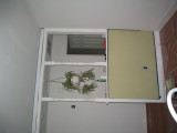 IMG_6557.JPG
