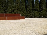 _B051536.jpg