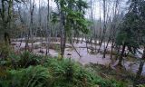 The flood of 06