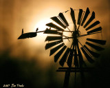 Misty Windmill