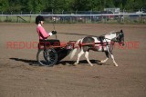 IMG_1158.jpg