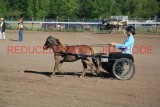 IMG_1165.jpg