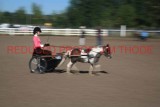IMG_1178.jpg