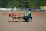 IMG_1187.jpg