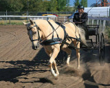 IMG_1161a.jpg