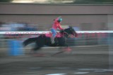IMG_2219.jpg