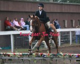 IMG_2355a.jpg