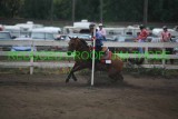 IMG_2823.jpg