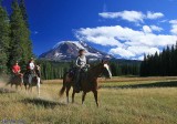 Muddy Meadow/Mt Adams