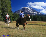 Muddy Meadow/Mt Adams