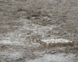 1st Base is ... Playable?