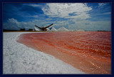 Salt, Pink Water, and Foam