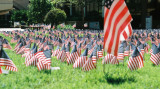 Sea Of Flags