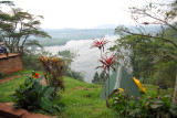 The nile - Bujagali Falls