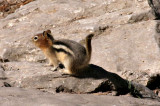 IMG_7852a-900.jpg