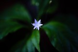 Arising