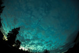 Fish Eye View of Heaven