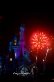 Fireworks at Magic kingdom