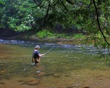 Fly Fisherman