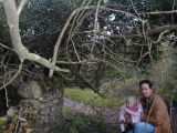 Tamzin and Dad under a really old tree