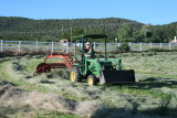 Raking the Hay
