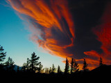 Sierra Wave red