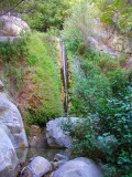 Cold Springs Waterfall