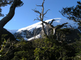 Mrountain Expedition