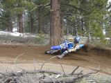 Ryan's Roost