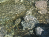 Ripples
