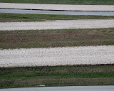 DSCN3147-Web8x10.jpg