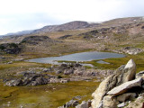 Above Tree Line