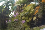 High Flower Perch