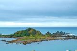 The Island of Island Bay