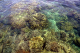 Waters are really crystal clear