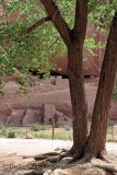 White House Ruins, Canyon de Chelly II