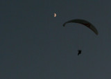 IMG_6808.jpg