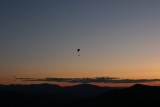 IMG_6911.jpg