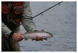 Bow River Rainbow