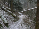 January 2007 Red River Gorge