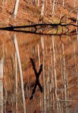 Smokey mountains reflections x Marks the Spot_0601.jpg